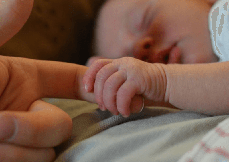 Severed Head of Newborn Found Near Cremation Ground in Palamu; Police Probe Possible Ritual Angle