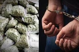 Kharagpur Man Arrested with 20.5 kg Ganja at Baharagora Bus Stand Following Late-Night Police Raid
