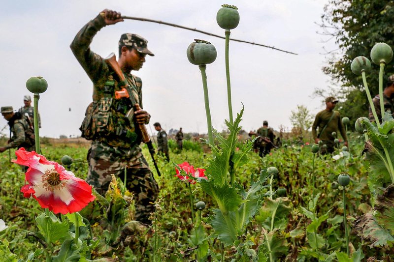 Huge Drug Bust in Hazaribagh: 8.2 Kg Opium Seized, Four Arrested