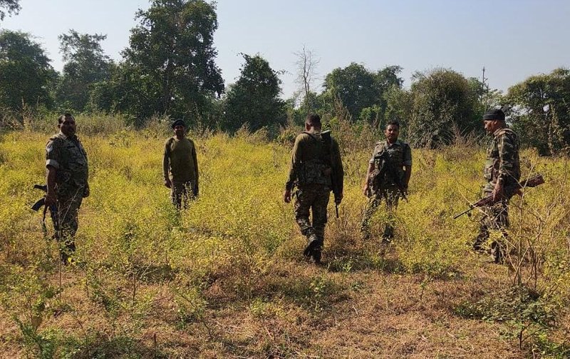 Palamu Police Intensifies Crackdown on Illegal Opium Cultivation; No New Crops Found in Field Verification