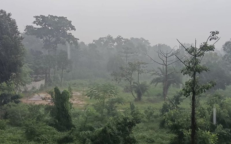 Jharkhand Braces for Severe Cold as Early Western Disturbance Drives Sharp Temperature Drop