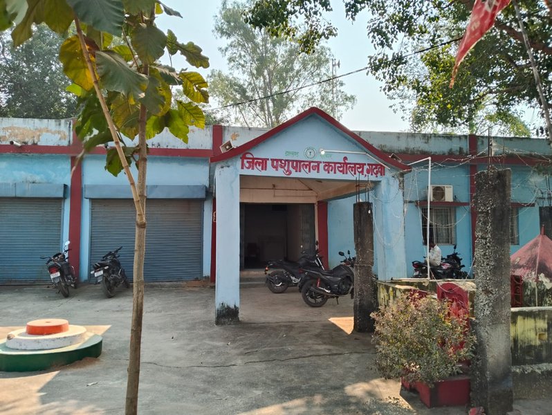 Garhwa Veterinary Hospitals Face Acute Drug Shortage for Three Months; Livestock Owners Forced to Buy Medicines Privately